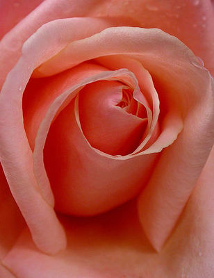 18726595_60e97c3628.jpg