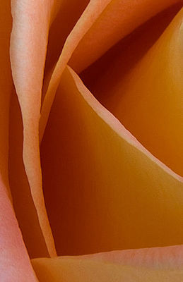 23990964_5ed239593f.jpg