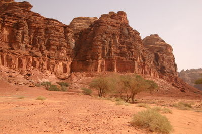 مدائن صالح في السعودية
مدائن صالح في السعودية
الكلمات الإستدلالية(لتسهيل البحث): مدائن صالح في السعودية