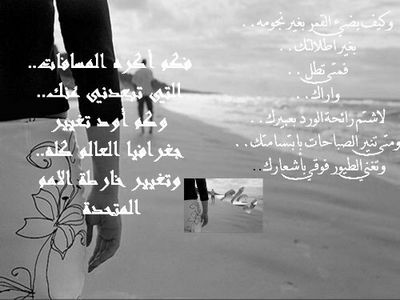 41685_l.jpg