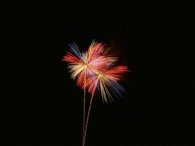 Fireworks1024001.jpg