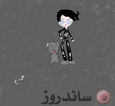 ضيف مطروق

