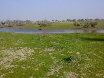صور من الصمان الشرقي
صور من الصمان الشرقي
الكلمات الإستدلالية(لتسهيل البحث): صور من الصمان الشرقي
