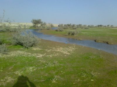 صور من الصمان الشرقي
صور من الصمان الشرقي
الكلمات الإستدلالية(لتسهيل البحث): صور من الصمان الشرقي