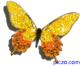 i66074204_75909.gif