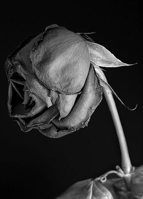 344907530_b79d6ddd92.jpg