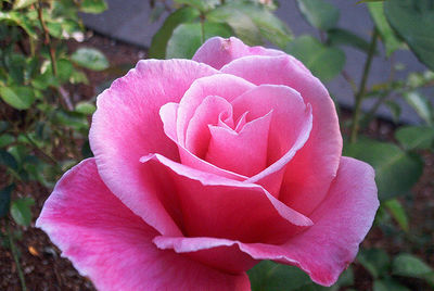 345176523_72f64021fe.jpg