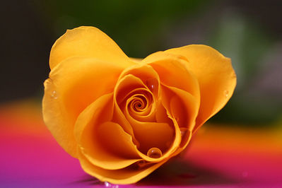 346855228_0ae3ef5137.jpg