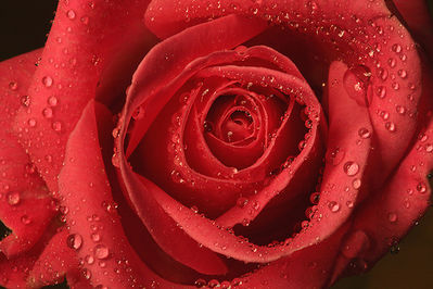 347026560_d9d026d5dc.jpg