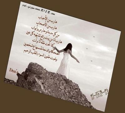 hareb1.jpg