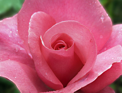 mURI_temp_031a6375.jpg