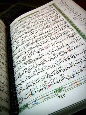 صورة القرآن
