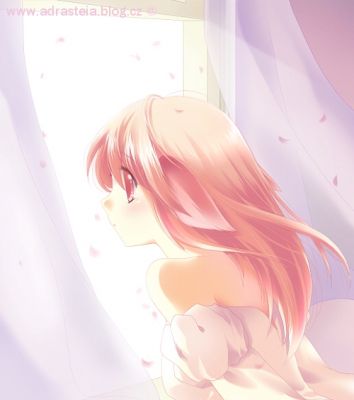 8007256.jpg