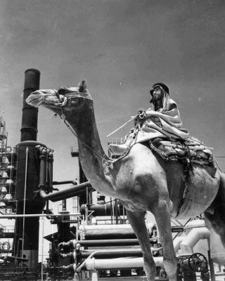 رجل سعودي يقف ببعيره أمام مصفاة رأس تنورة. 1946-1948م. 
رجل سعودي يقف ببعيره أمام مصفاة رأس تنورة. 1946-1948م. 
الكلمات الإستدلالية(لتسهيل البحث): رجل سعودي يقف ببعيره أمام مصفاة رأس تنورة. 1946-1948م. 
