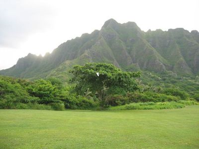 hawaii.jpg