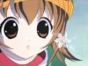 fairysugar-9.jpg