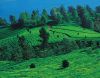 اسم الصورة=kerala60.jpg
حجم الملف=111كيلوبايت
الأبعاد=600x468
تاريخ الإضافة=%481 %03, %2008 kerala60.jpg